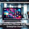 Google Launches Chrome Web Store for Enterprise Users